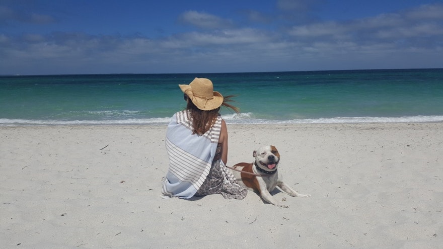 Hypnotherapy and Coaching blog