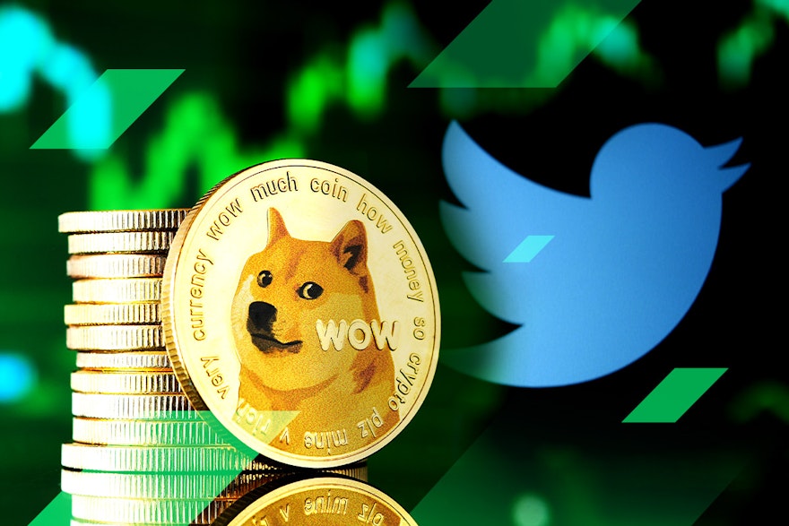 Dogecoin: Why it’s the new Twitter icon and why does it matter?