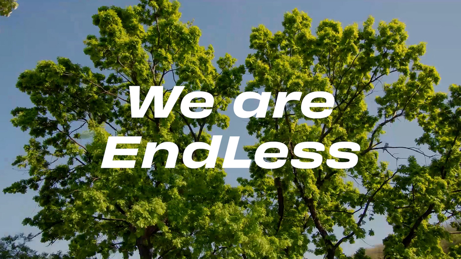 We Are EndLess