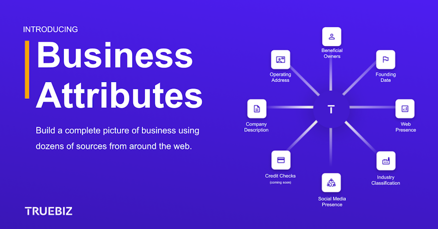 Introducing TrueBiz Business Attributes