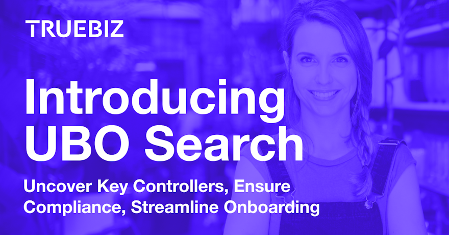 Unveiling UBO Search: Simplifying Business Owner Verification for Financial Service Providers