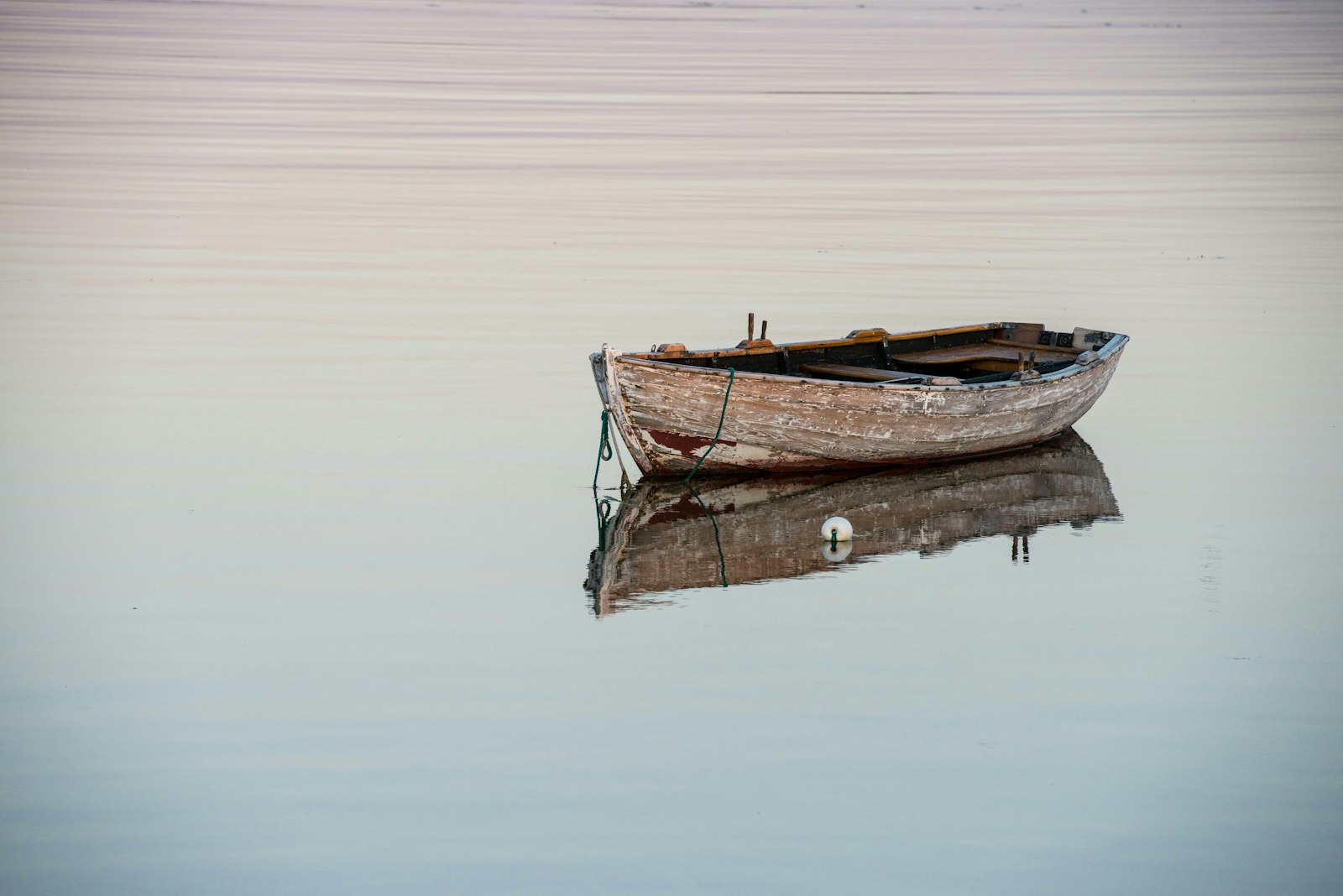 L’arbre et la pirogue : Désir d’ailleurs et quête identitaire