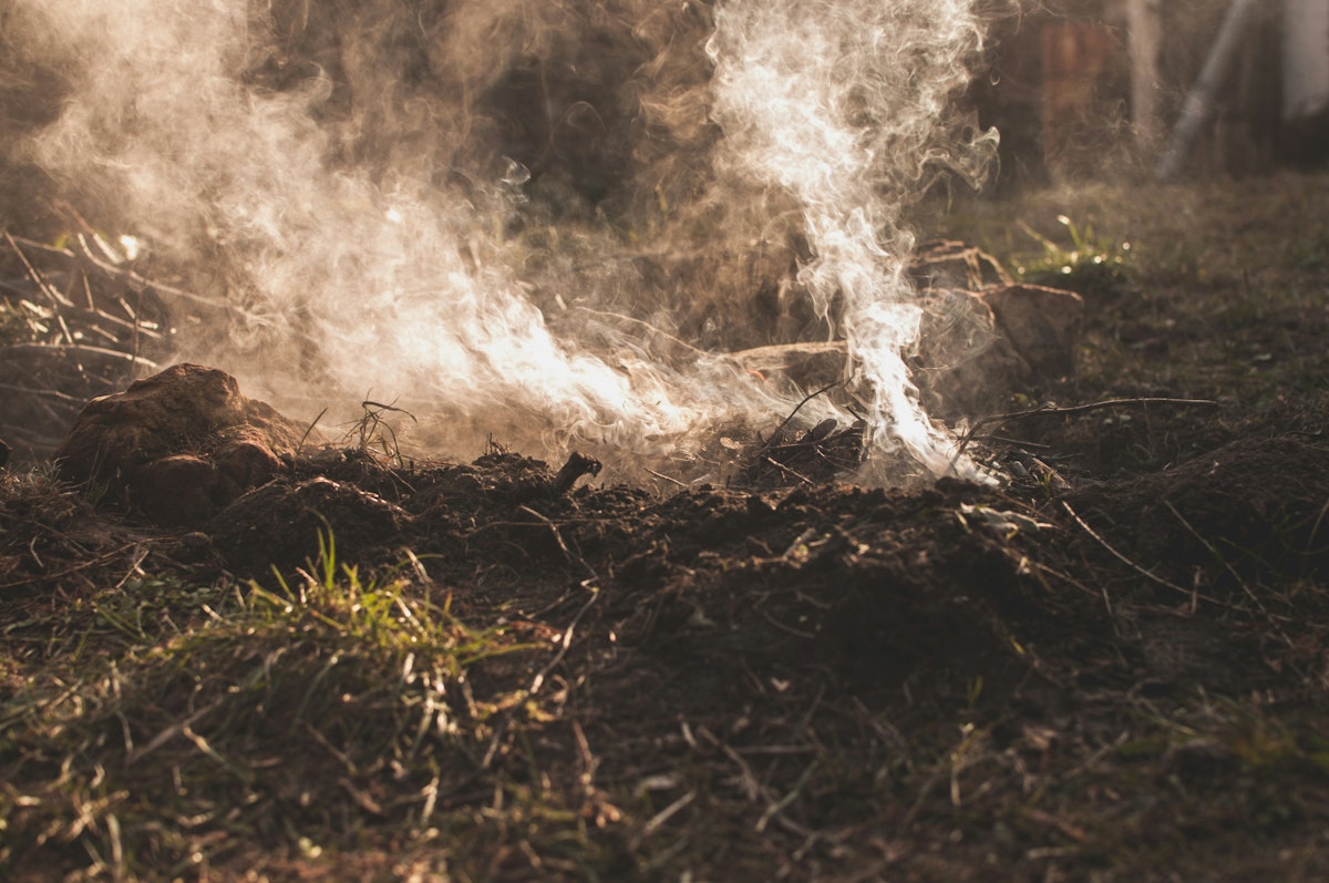 Smoke emerges from forest floor underbrush, backlit by sunlight.