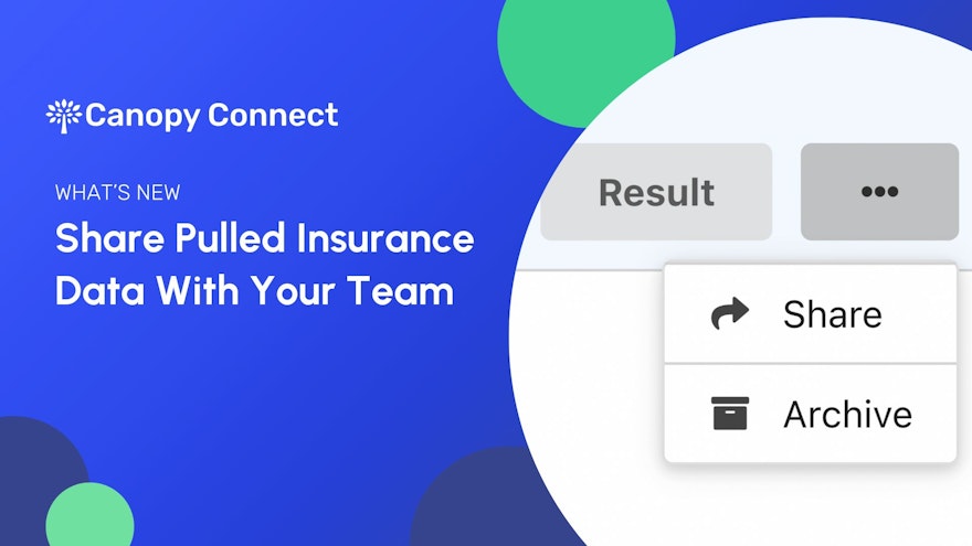 Share Pulled Insurance Data with Your Team