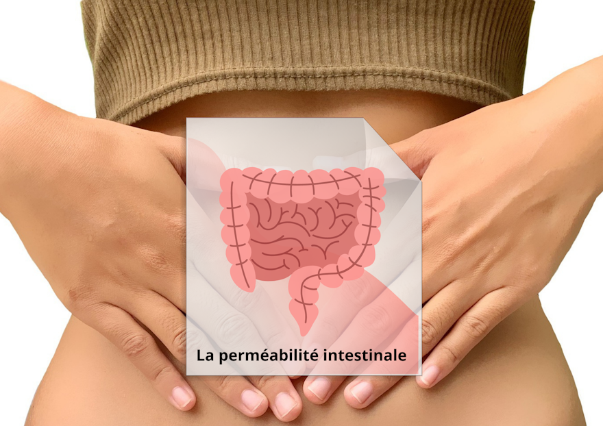 Qu'est ce qu'une perméabilité intestinale dans la prévention et le traitement associés