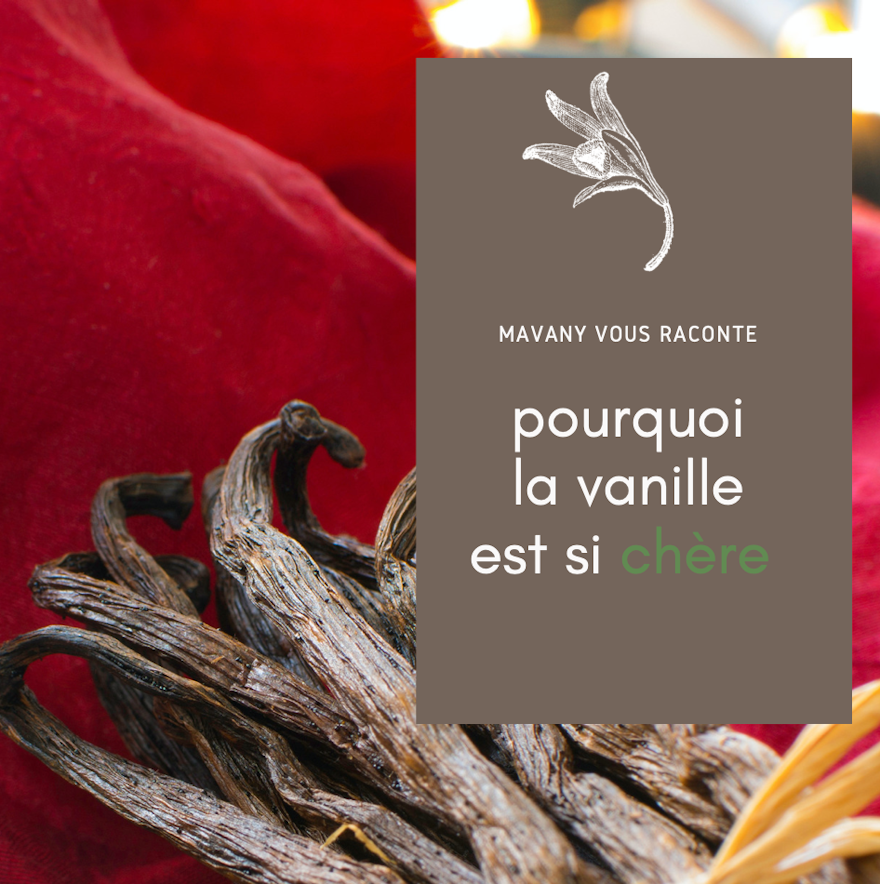 Pourquoi la vanille est si chère ?