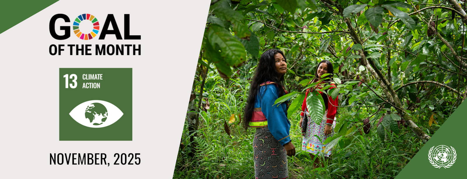 November 2025 Case Study: Procurement for Climate Action and Adaptation Planning Services