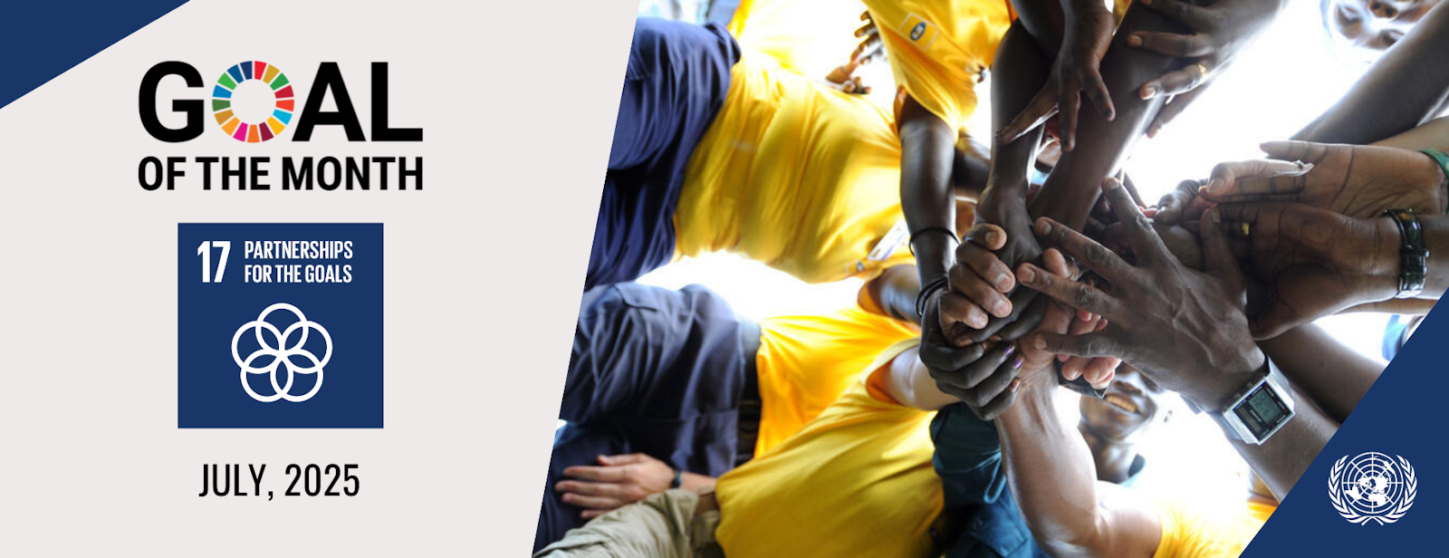 July 2025 Case Study: The Methodology for Assessing Procurement Systems (MAPS) and SDG 17