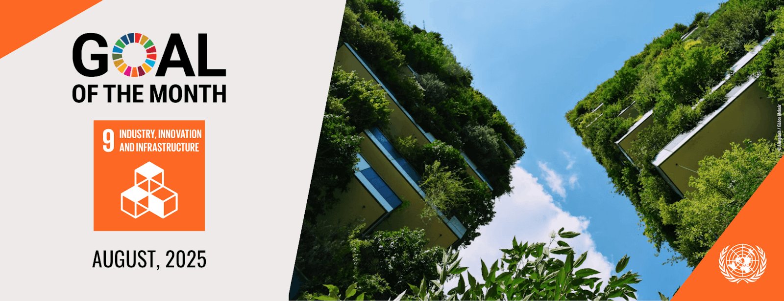 August 2025 Case Study: Driving SDG 9 through Sustainable Procurement of Infrastructure