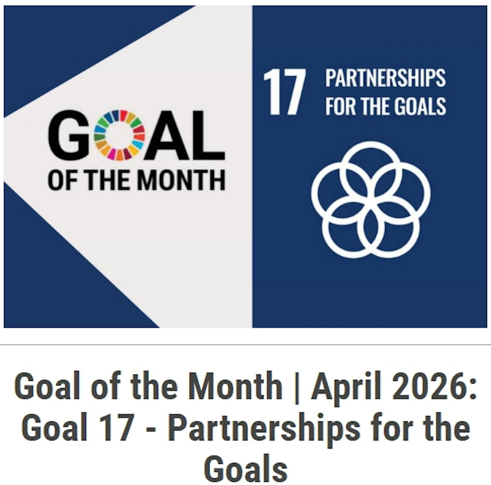Procurement as Partnership: What Public Private Partnerships Teach Us About Achieving SDG 17