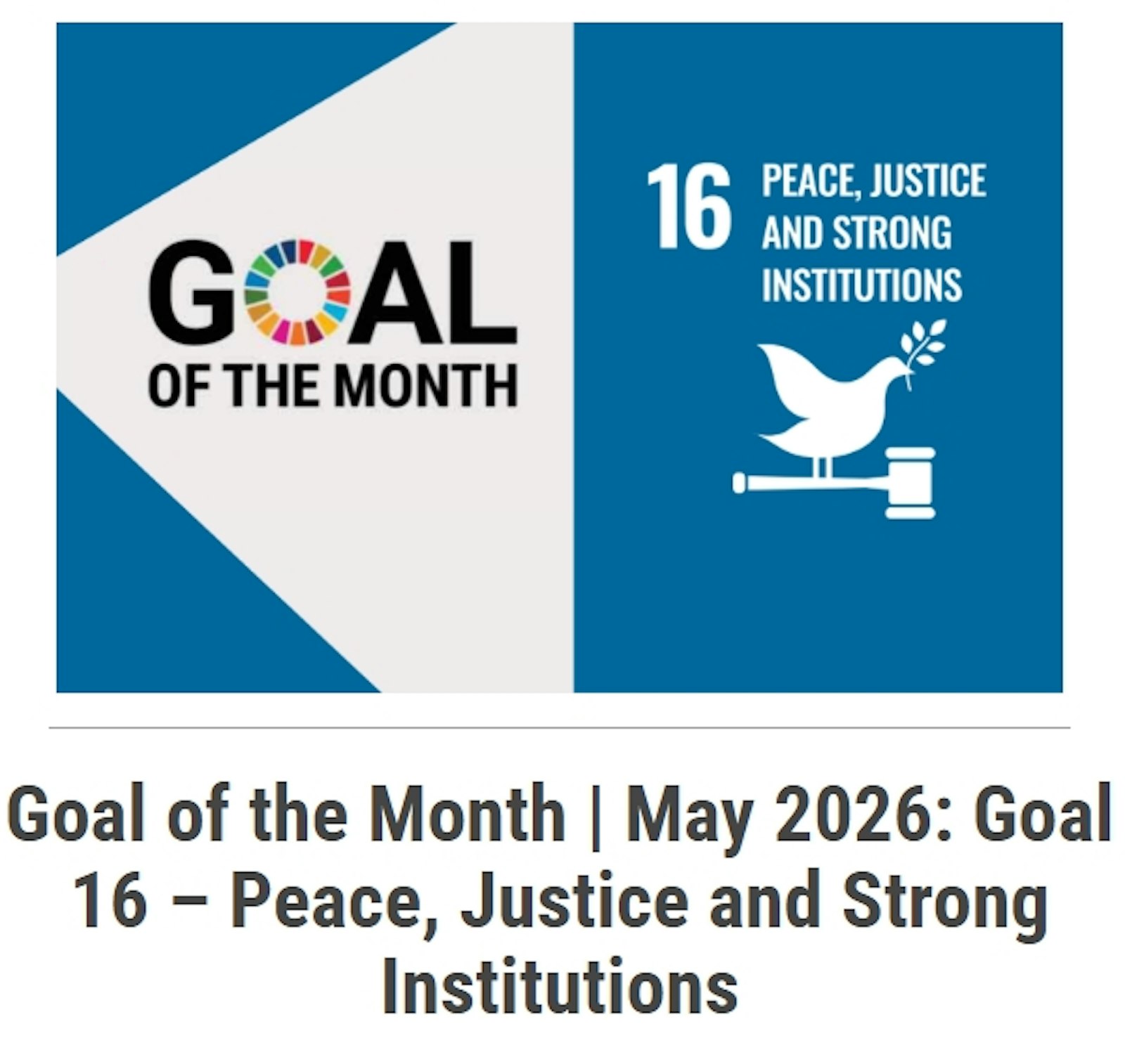 May 2026 Case Sudy: Public Procurement Becomes a Driver of SDG 16: Lessons from Algeria’s E Procurement Journey