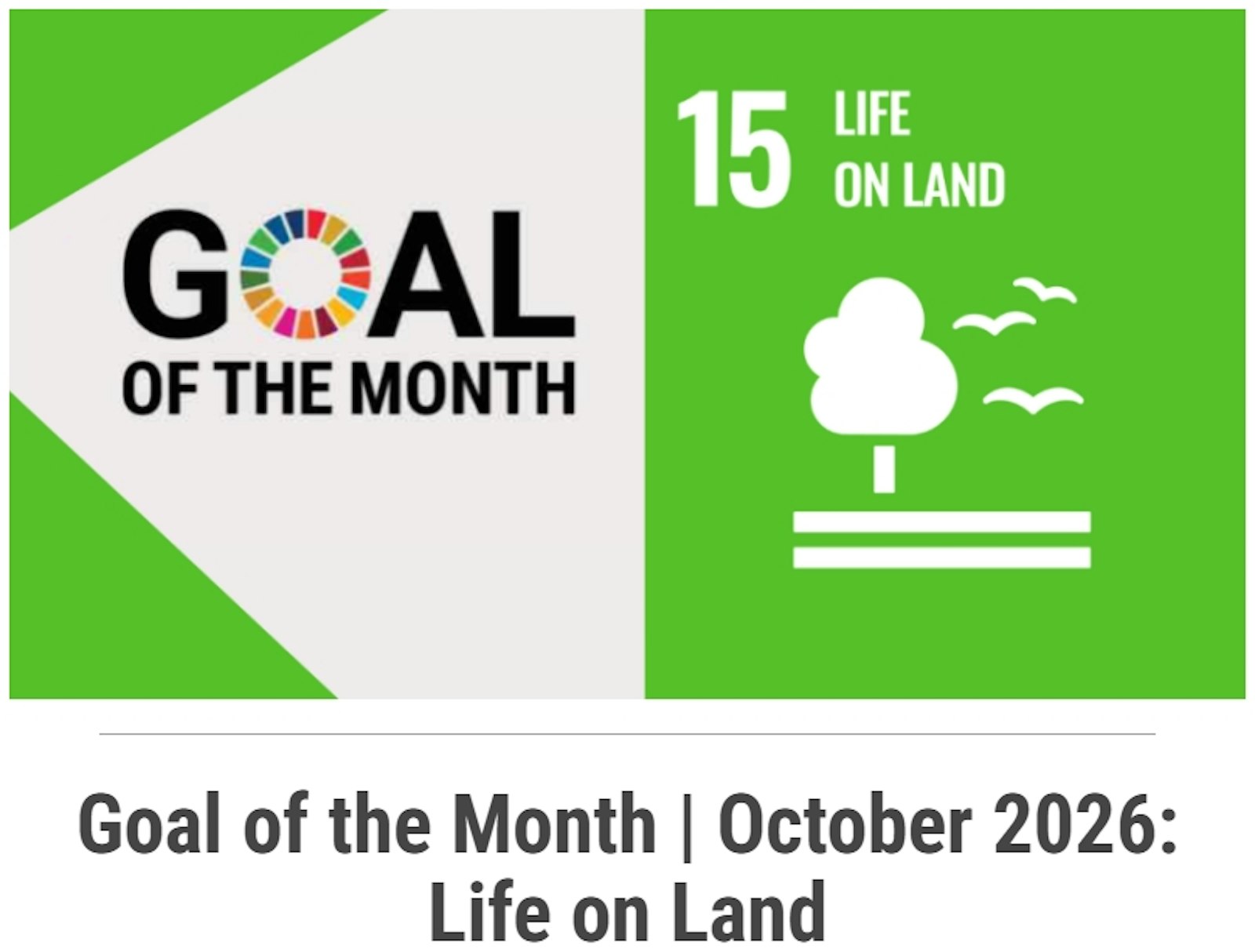 October 2026 Case Study: Integrating Biodiversity and Forest Protection into Procurement