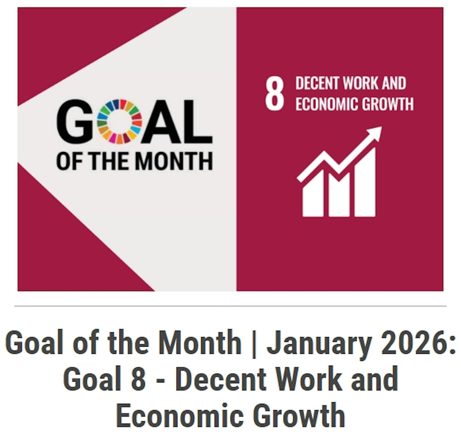 January 2026 Case Study: Public Procurement as a Lever for SDG 8