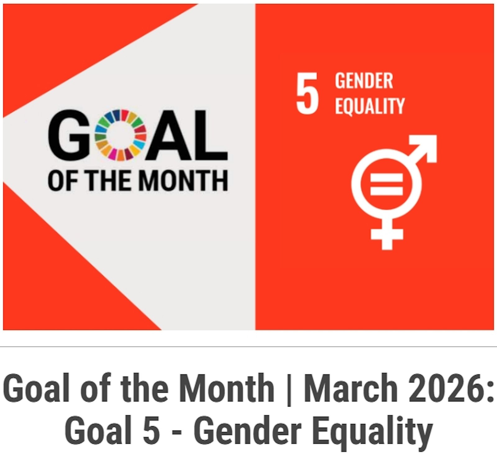 March 2026 Case Study: The Global Blueprint for Gender Responsive Procurement