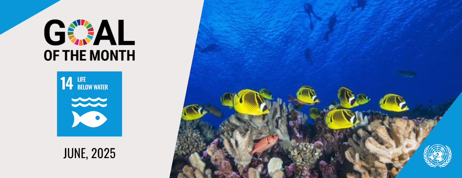 June 2025 Case Study: A Look at the UK's Move Towards Sustainable Fish Sourcing
