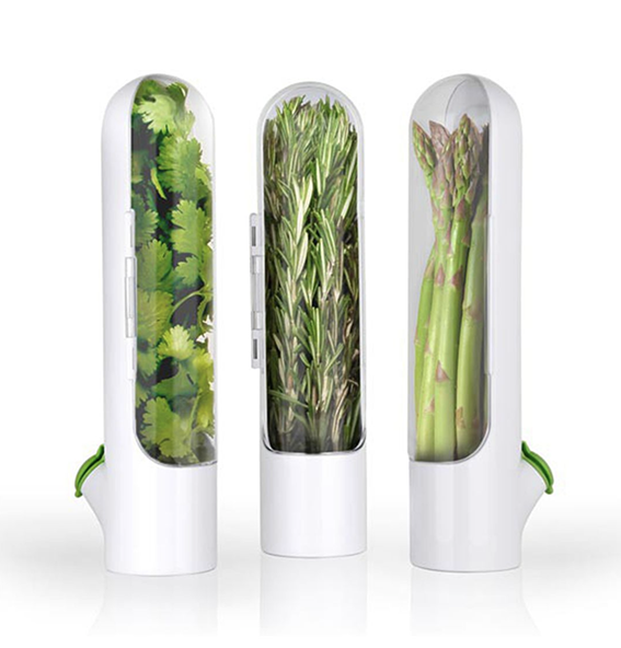 mini herbier.png