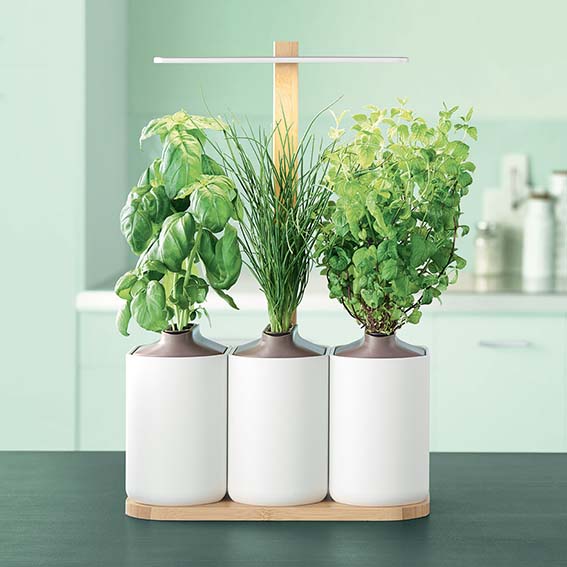 smart-lilo-potager-connecte.jpg