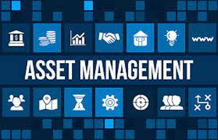 Asset Management Solution Approaches