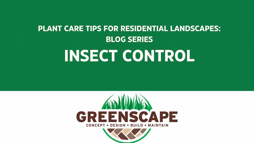 plant care tips for residential landscapes insect control