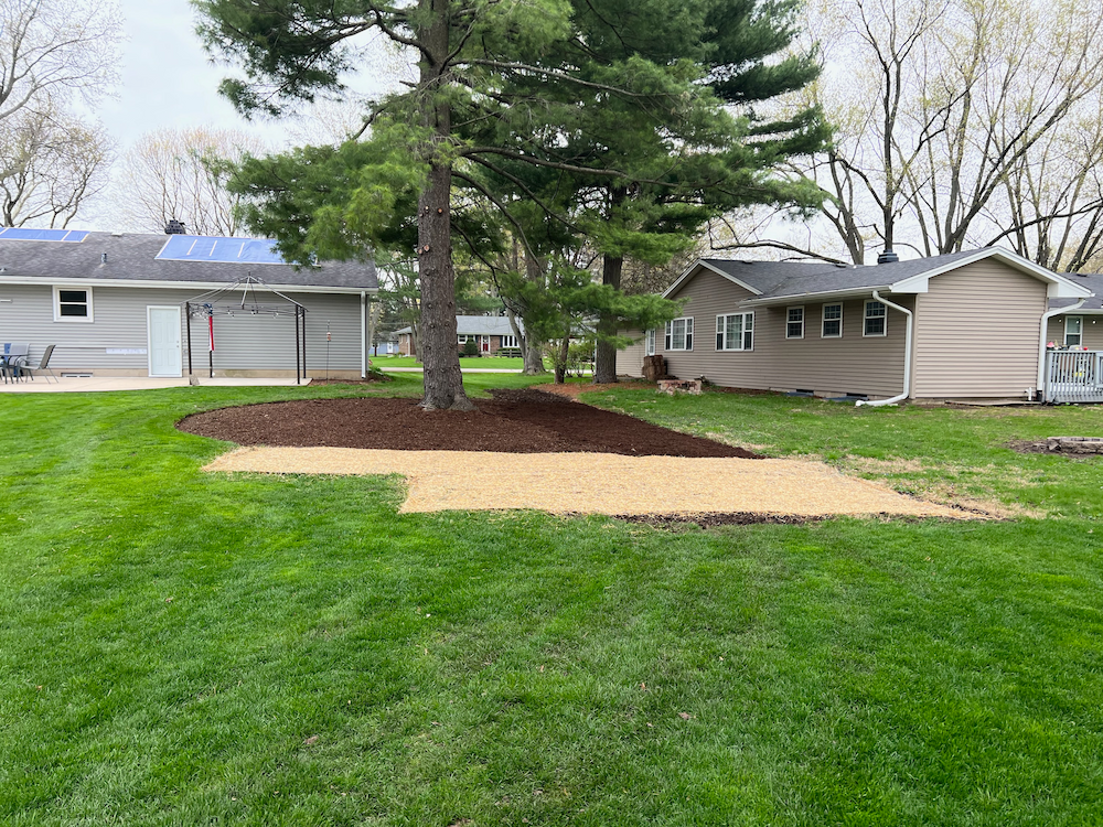 newly seeded lawn