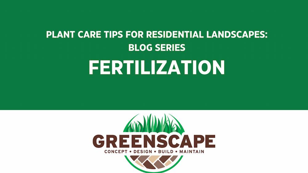 plant care tips for residential landscapes: fertilization