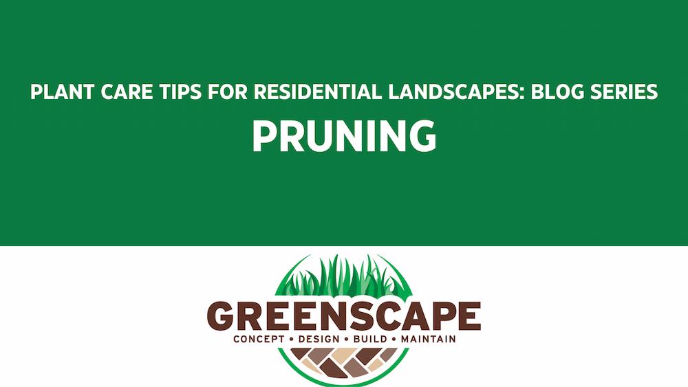 plant care tips for residential landscapes: pruning