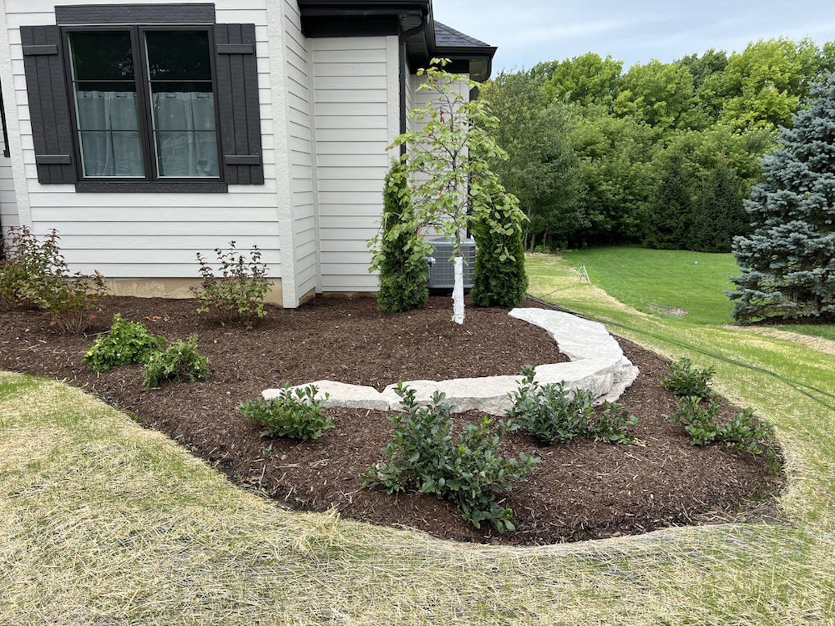 mulch in backyard