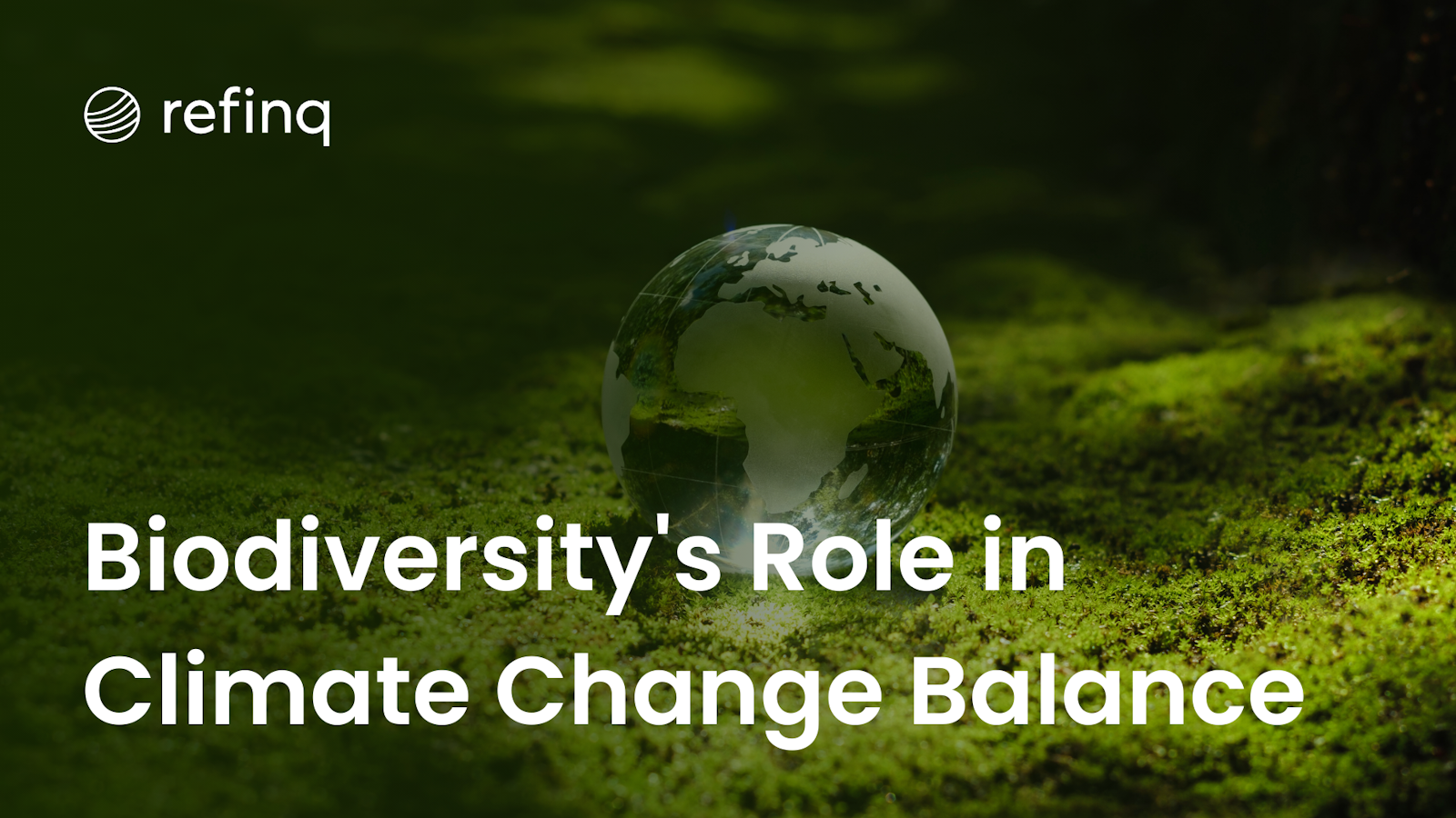 Biodiversity's Role in Climate Change Balance