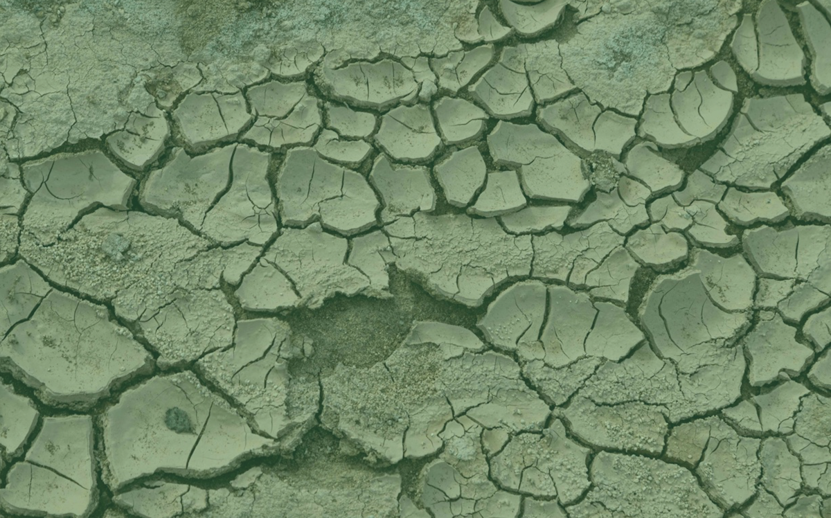 Scorched Supply Chains: How Heatwaves and Heat Stress Are Disrupting Business as Usual