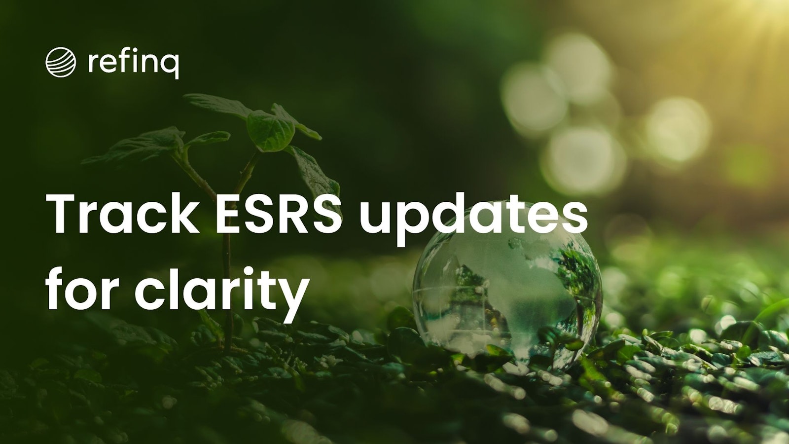 Track ESRS updates for clarity