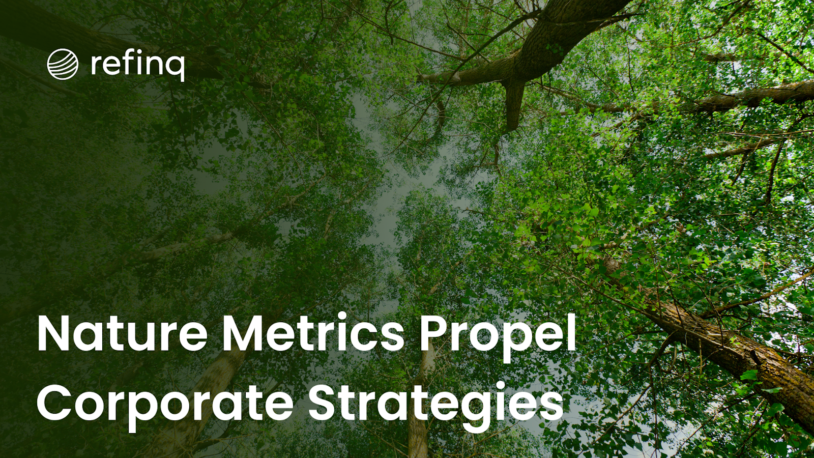 Nature Metrics Propel Corporate Strategies