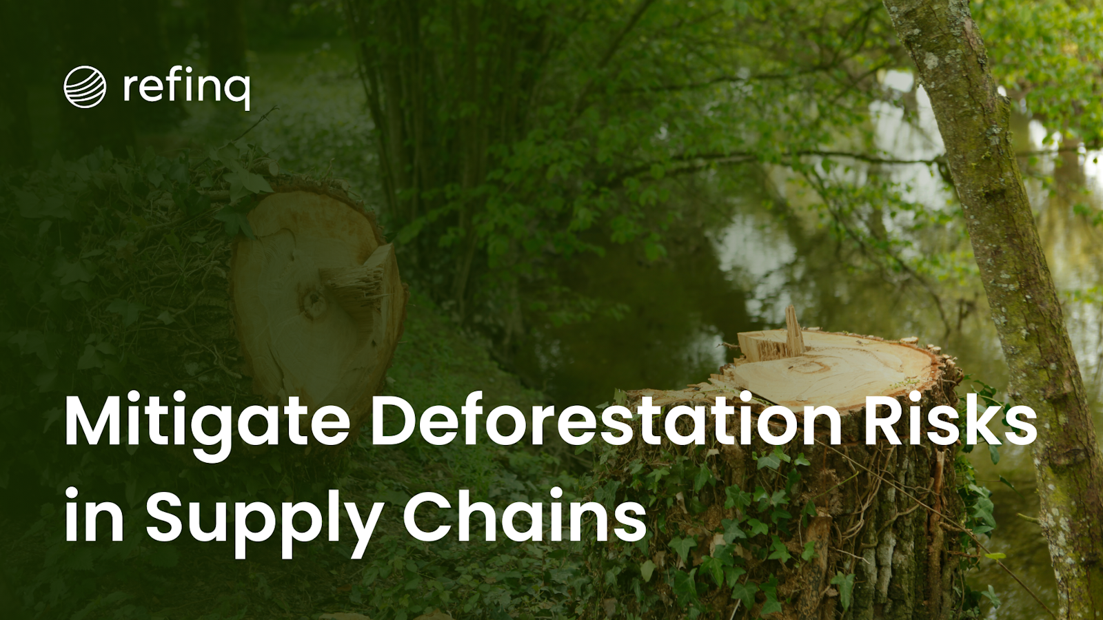 Mitigate Deforestation Risks in Supply Chains