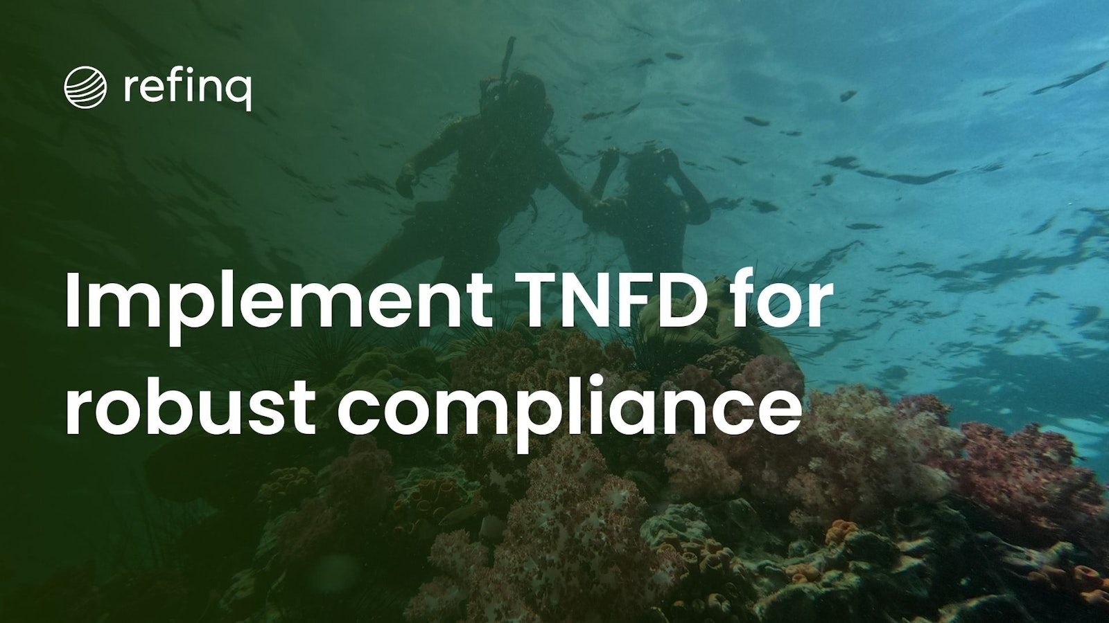 Effective Strategies for Implementing TNFD Guidelines Across Various Industries