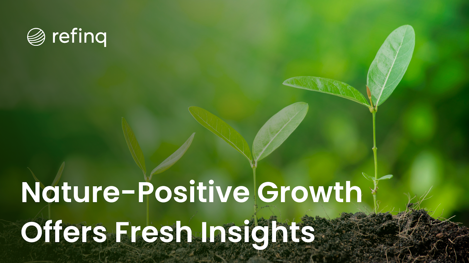 Nature-Positive Growth Offers Fresh Insights