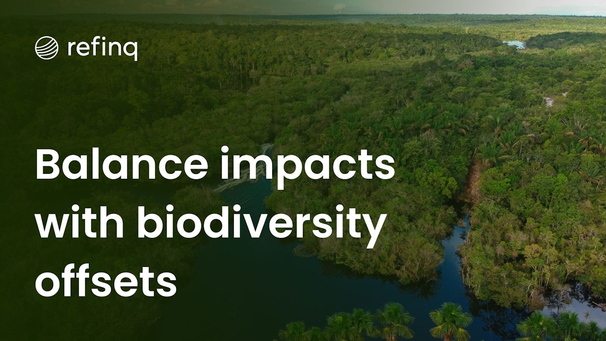 Illustration of biodiversity offsets in corporate strategy, showcasing sustainable business practices and environmental conservation efforts.