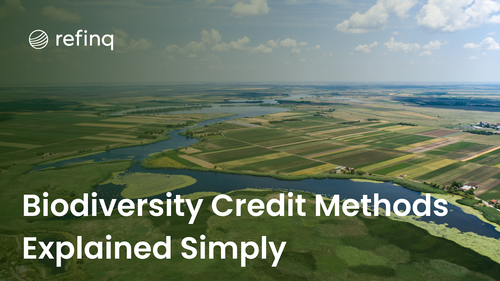 Biodiversity Credit Methods Explained Simply