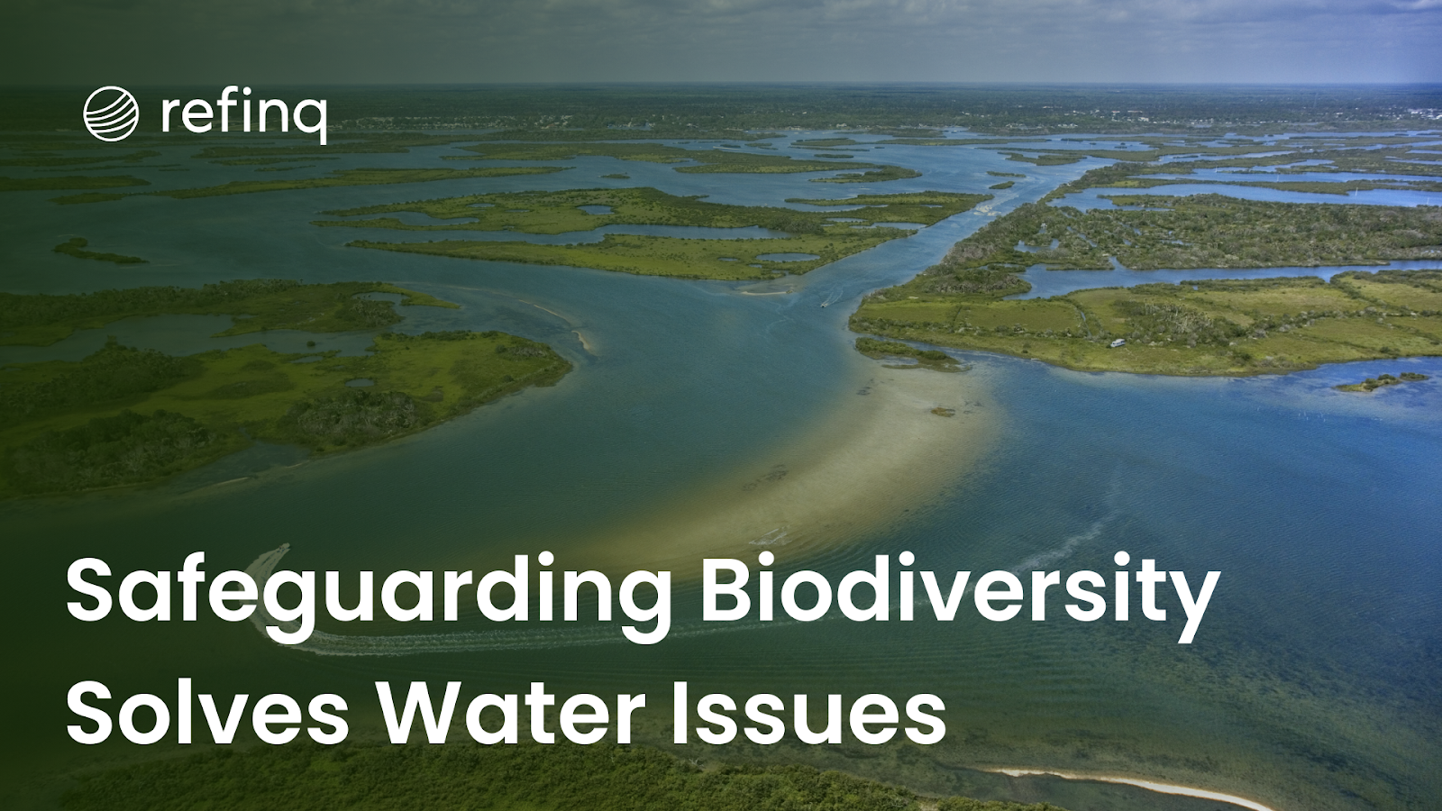 Biodiversity protection ensures water security