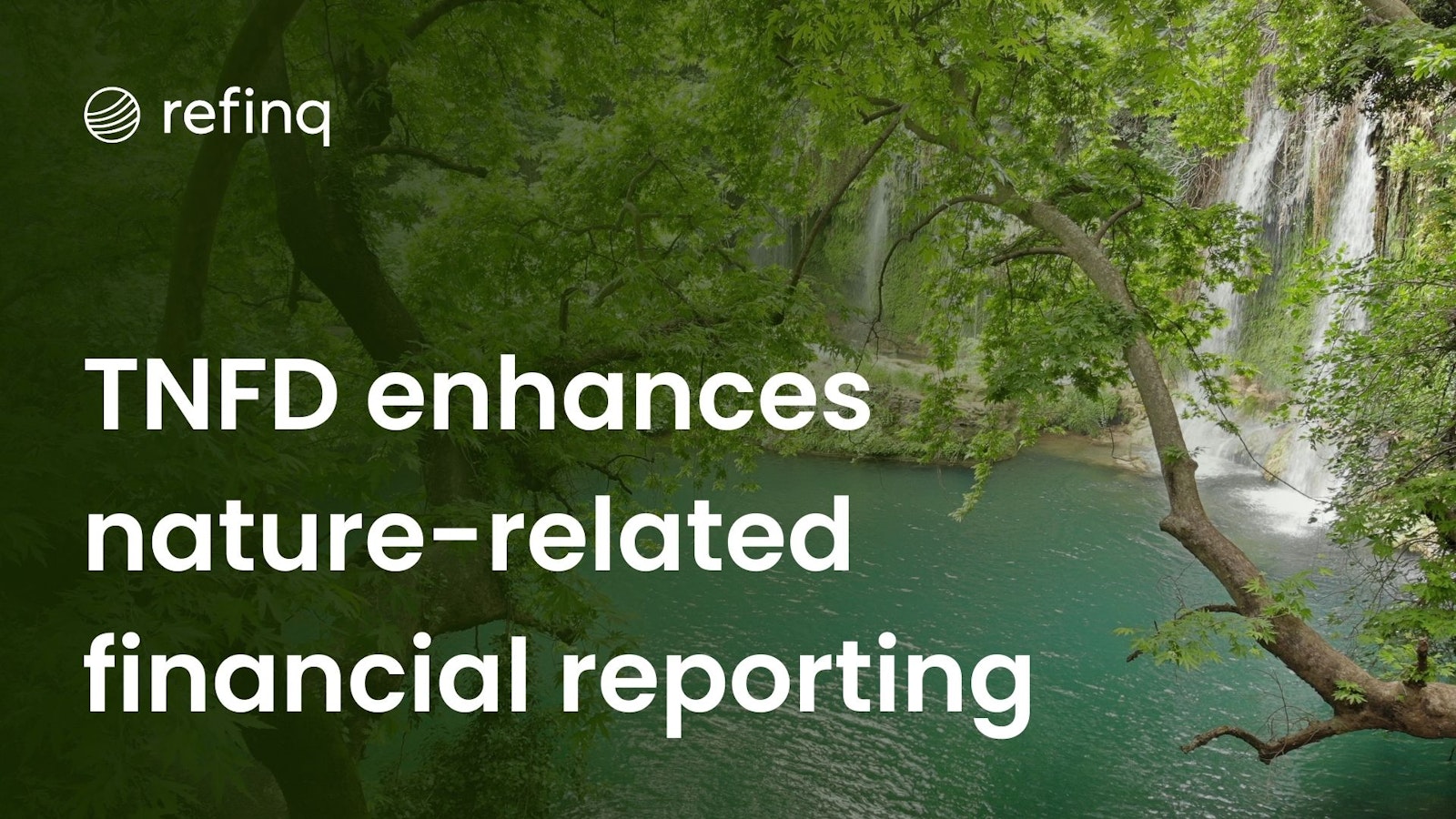 TNFD enhances nature-related financial reporting