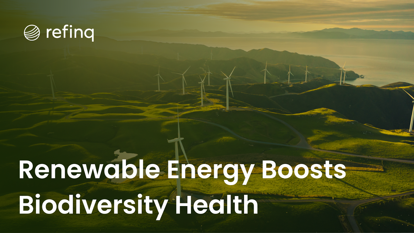 Renewable Energy Boosts Biodiversity Health