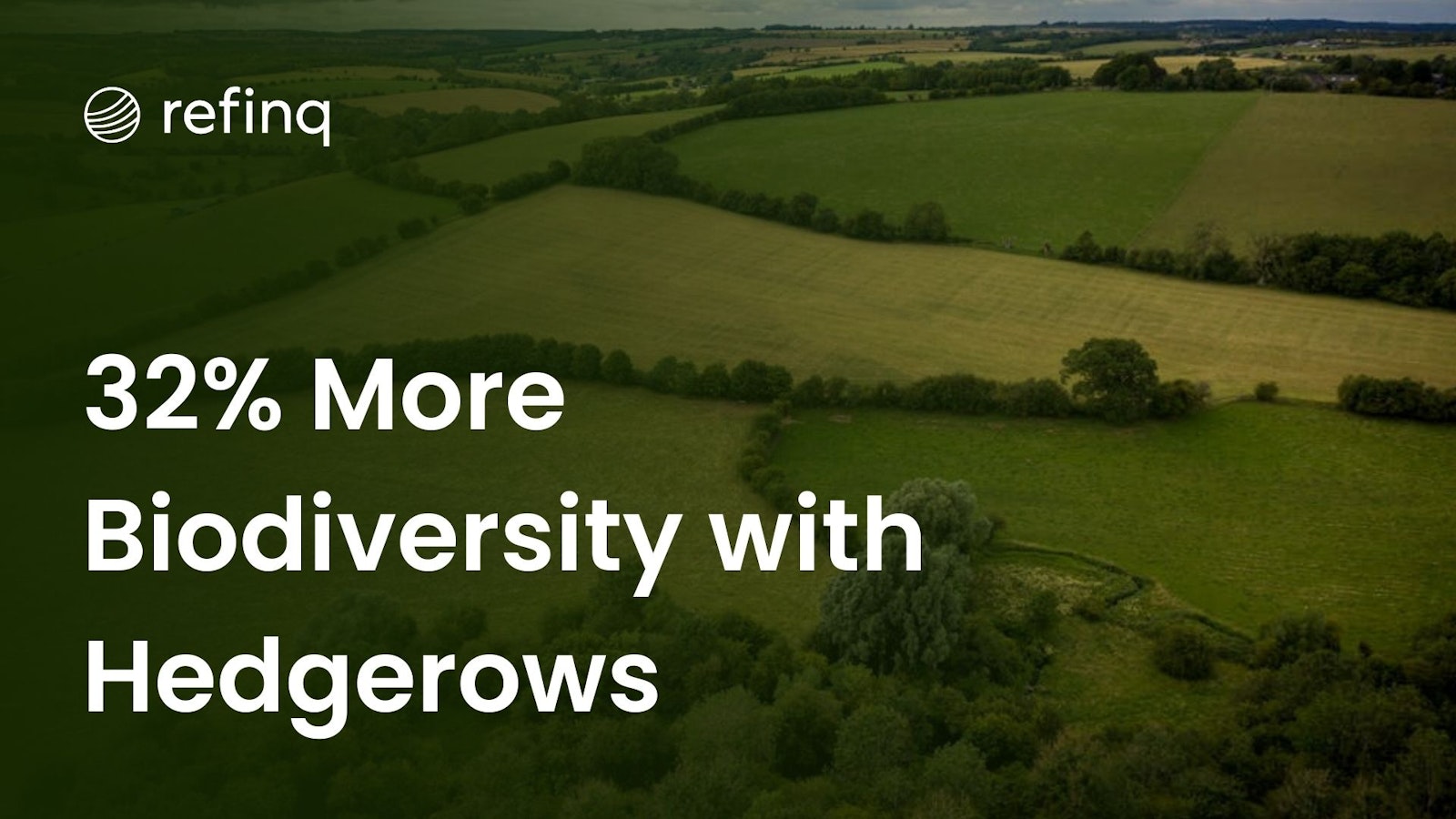 Thriving Hedgerows Boost Biodiversity by 32% and Enhance Carbon Capture