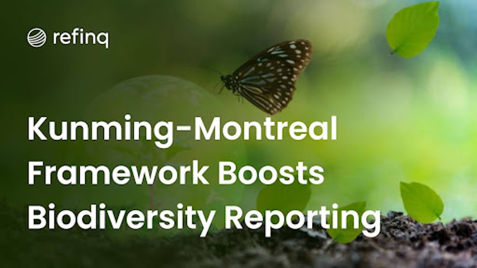 How Kunming-Montreal Framework Transforms Biodiversity Reporting