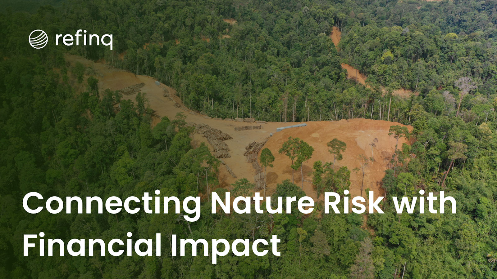 Connecting Nature Risk with Financial Impact