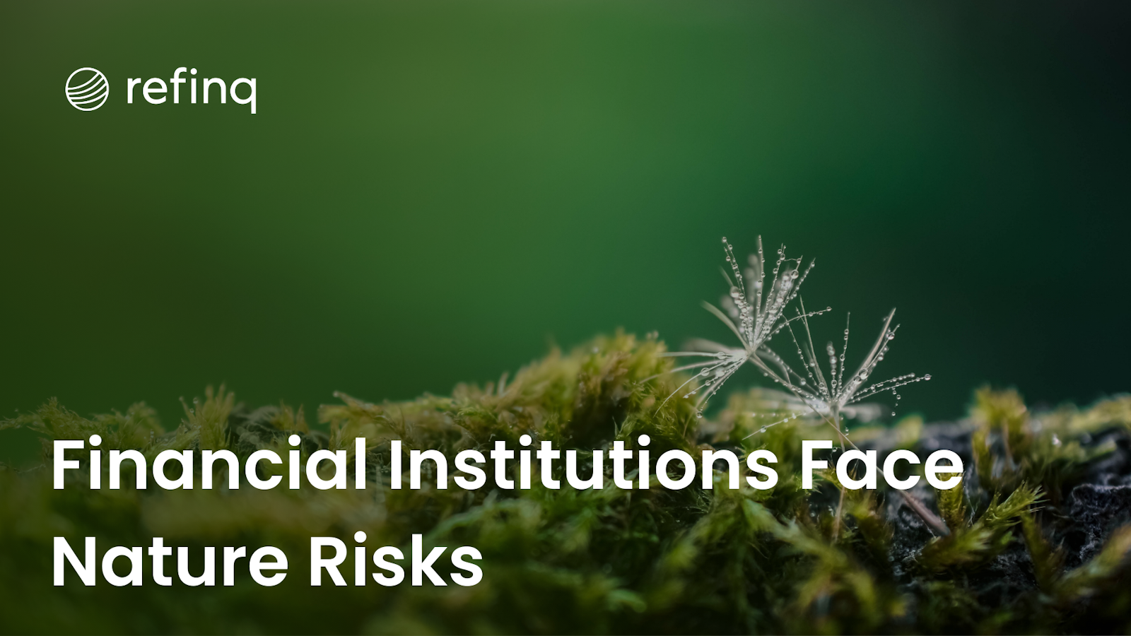 Financial Institutions Face Nature Risks