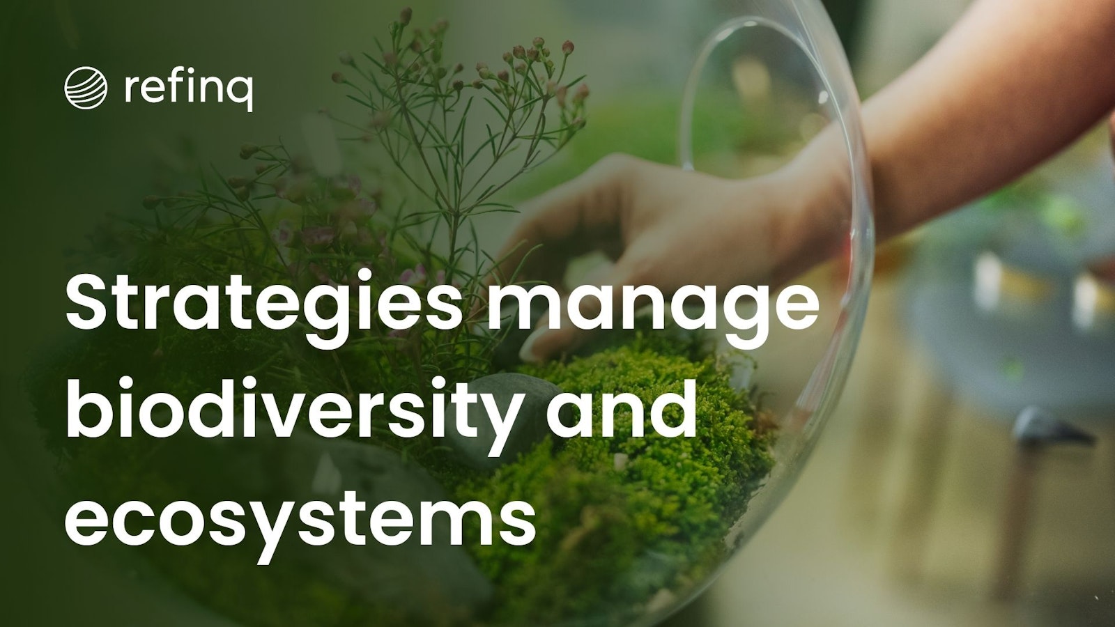 Corporate Strategies for Biodiversity and Ecosystem Risk: Enhancing Sustainability and Environmental Responsibility