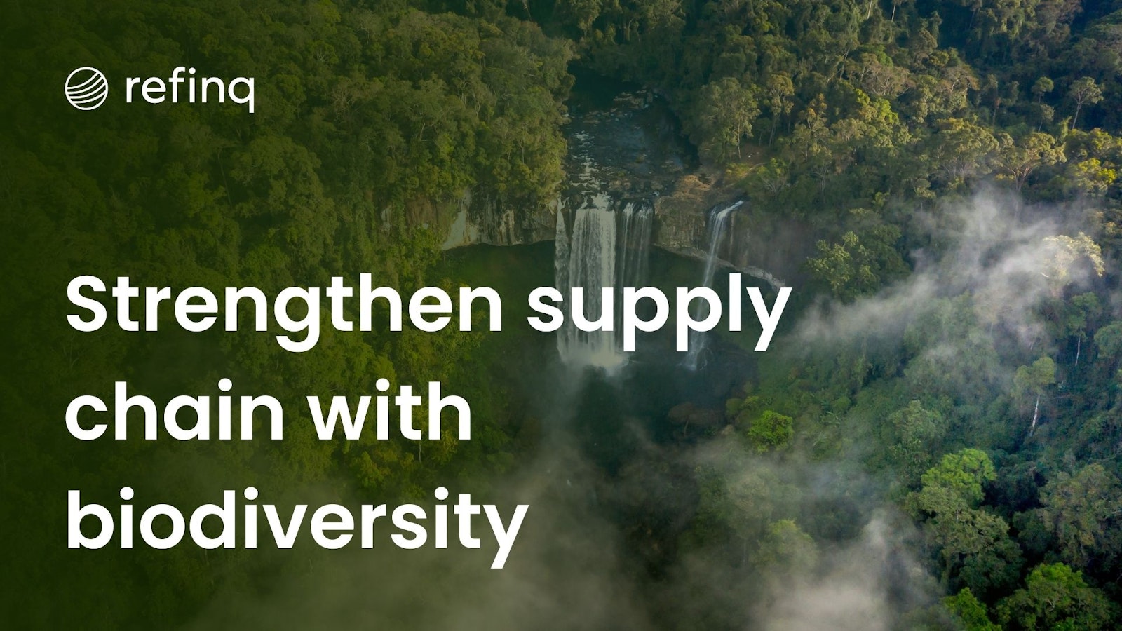 Infographic illustrating strategies for reducing supply chain risks using biodiversity analytics, featuring data-driven insights and sustainable practices.