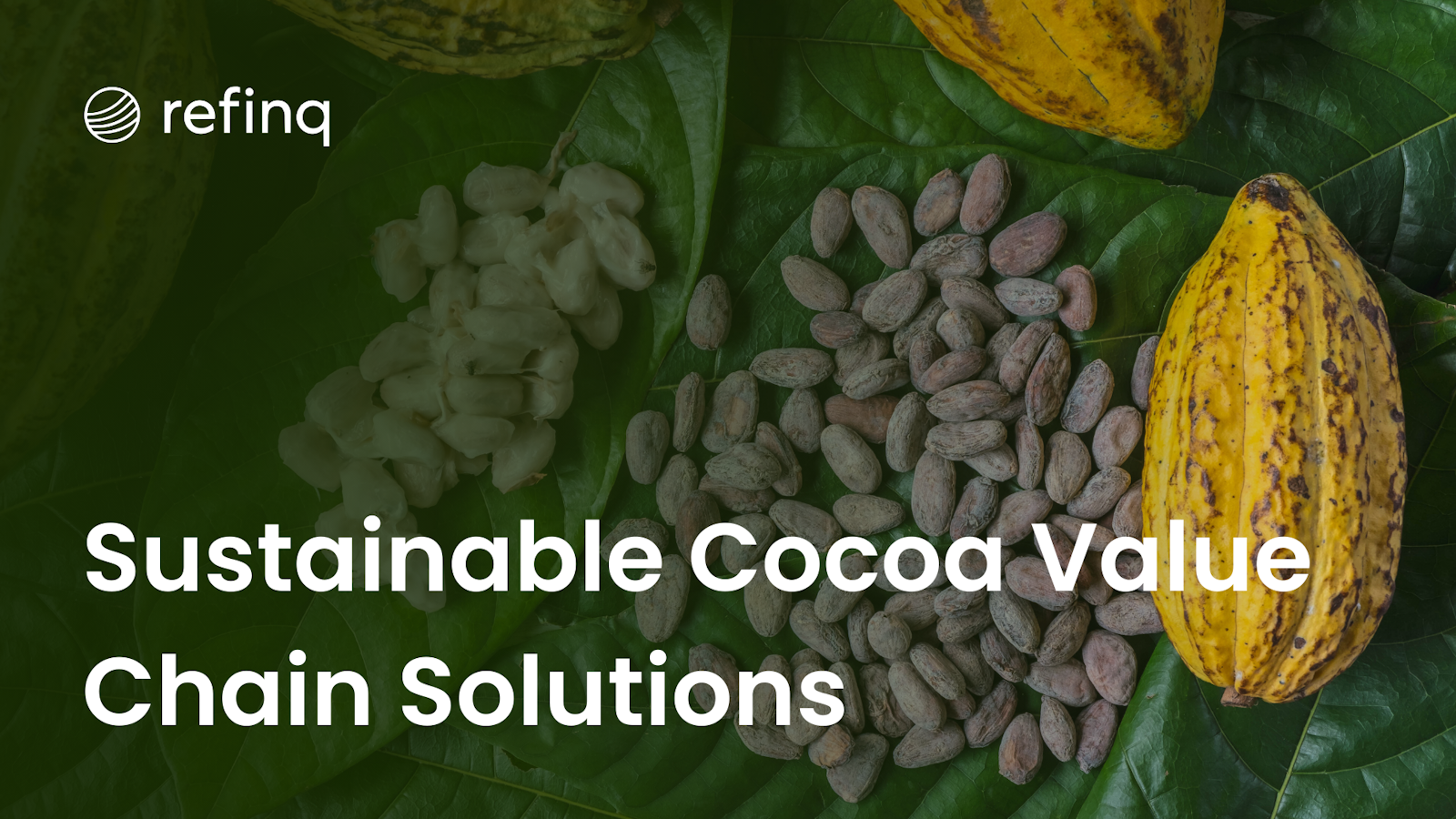 Sustainable Cocoa Value Chain Solutions