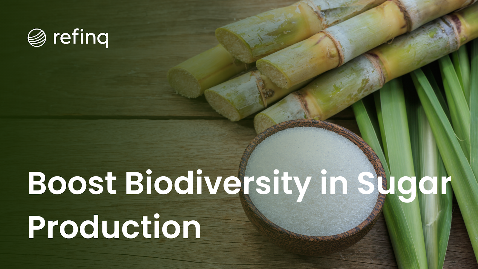 Boost Biodiversity in Sugar Production