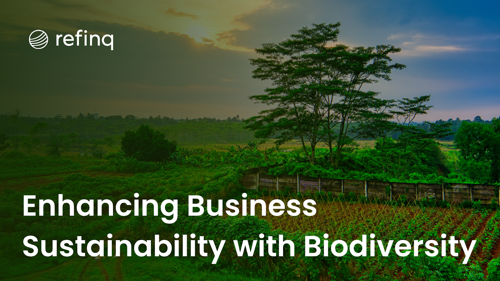 Enhancing Business Sustainability with Biodiversity