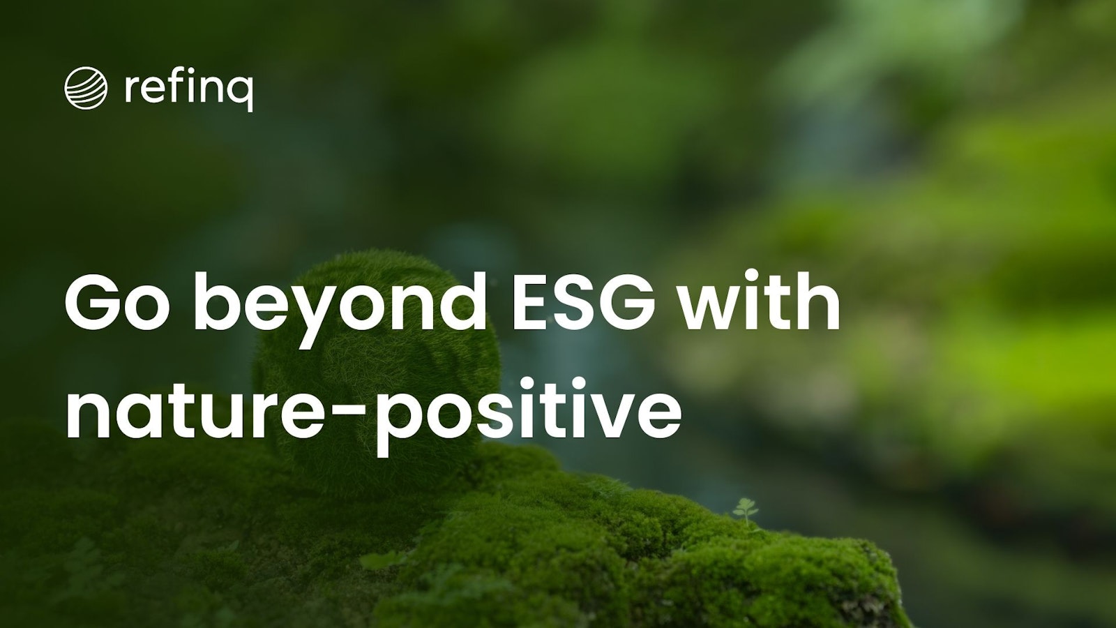 Comparison of ESG and Nature-Positive Strategies in Sustainable Business Practices