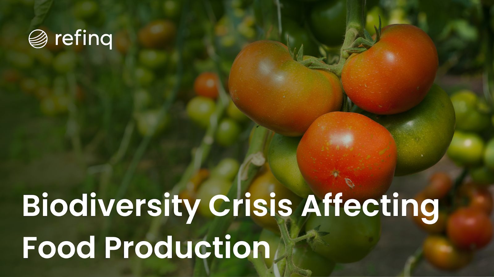 Biodiversity Crisis Affecting Food Production